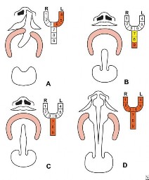 4 3 6 Khe hở môi Phải Trái Toàn bộ Không TB Toàn bộ 8