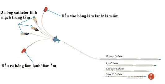 Hình 1 14 Cấu tạo catheter hạ thân nhiệt của ZOLL 99 Tùy theo số bóng trên 3