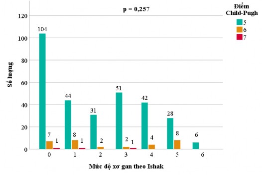 Biểu đồ 3 4 Liên quan giữa điểm Child Pugh và điểm số Ishak Như vậy độ thanh 1