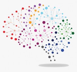 Não bộ thực chất là một ma trận kết nối Lối mòn tư duy là một kết nối 2