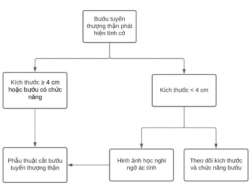 Biểu đồ 1 1 Sơ đồ điều trị bướu tuyến thượng thận phát hiện tình cờ 1
