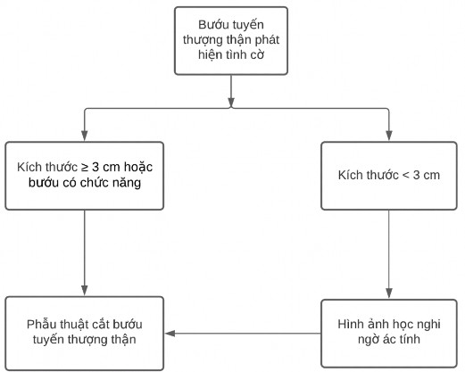 Biểu đồ 2 1 Sơ đồ quy trình chọn mẫu nghiên cứu Biểu đồ 2 2 Sơ đồ các 1