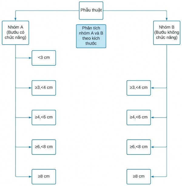Biểu đồ 2 2 Sơ đồ các bước phân tích mẫu nghiên cứu Tăng tiết androgen ghi 2