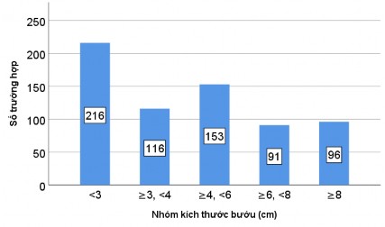 Biểu đồ 3 3 Phân bố số trường hợp theo nhóm kích thước bướu 3 1 2 Chức 5