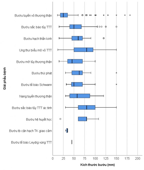 3 2 4 Giải phẫu bệnh theo kích thước bướu Biểu đồ 3 4 Phân bố các loại 1