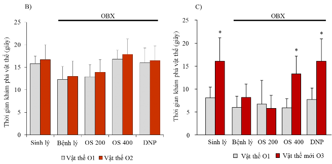 Hình 3 1 Ảnh hưởng của cao OS lên trí nhớ làm việc của chuột OBX trong thử 5