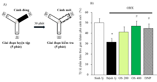 Hình 3 2 Ảnh hưởng của cao OS lên trí nhớ không gian ngắn hạn của chuột OBX 6