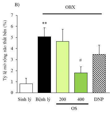 Hình 3 3 Tỷ lệ mở rộng não thất bên của các lô A Hình ảnh chụp tiêu bản 8