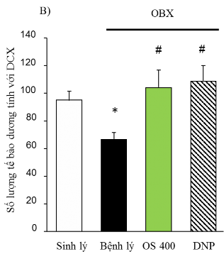 Hình 3 4 Số lượng tế bào dương tính với DCX ở vùng hồi răng hồi hải mã 2