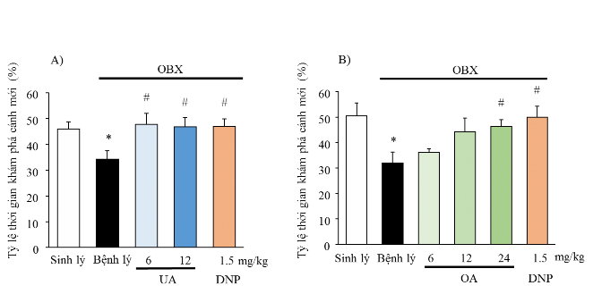 Hình 3 11 Ảnh hưởng của UA và OA đến trí nhớ không gian ngắn hạn của chuột 1
