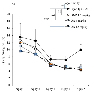 Hình 3 13 Ảnh hưởng của UA và OA lên thông số quãng đường bơi của chuột OBX 2