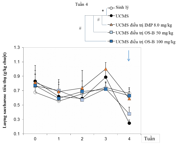 Hình 3 21 Ảnh hưởng của OS B lên triệu chứng giảm hứng thú của chuột UCMS 5