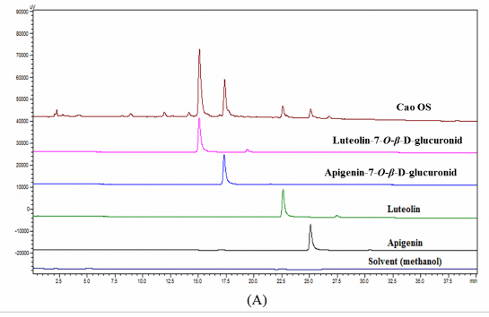 Hình 2A Sắc ký đồ của cao OS luteolin apigenin luteolin 7 O β D glucoronid và apigenin 7 2