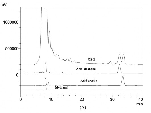 Hình 3A Sắc ký đồ của cao OS E acid ursolic và acid oleanolic Hình 3B Sắc ký đồ 4