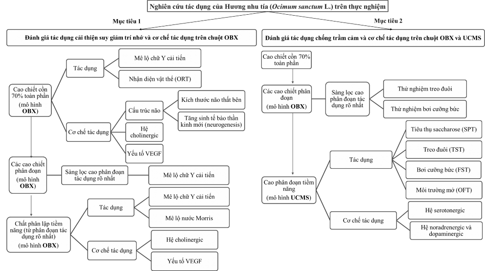 Hình 2 1 Sơ đồ nghiên cứu tổng thể 42 Sau đó dịch chiết này được lắc phân 1