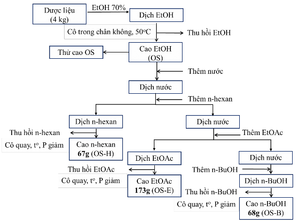 Hình 2 2 Sơ đồ chiết xuất dược liệu 2 2 3 Gây mô hình dược lý 2 2 3 1 Mô 2