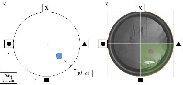 Hình 2 7 Thử nghiệm mê lộ nước Morris A Thiết kế thí nghiệm B Hình ảnh ghi 5
