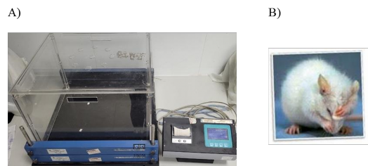 Hình 2 10 Thử nghiệm môi trường mở A Buồng plexiglass có hệ thống Digiscan B 1