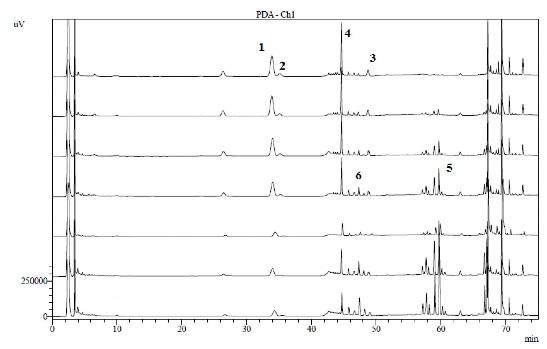Hình 3 5 Sắc ký đồ một số mẫu dịch chiết Tam thất 1 Rg1 2 Re 3 Rd 4 Rb1 5 Rg3 6 2