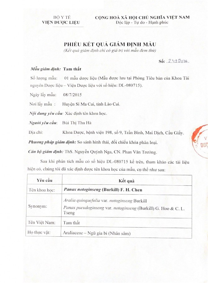 Phụ lục 2 Hình ảnh tiêu bản của mẫu Tam thất 1