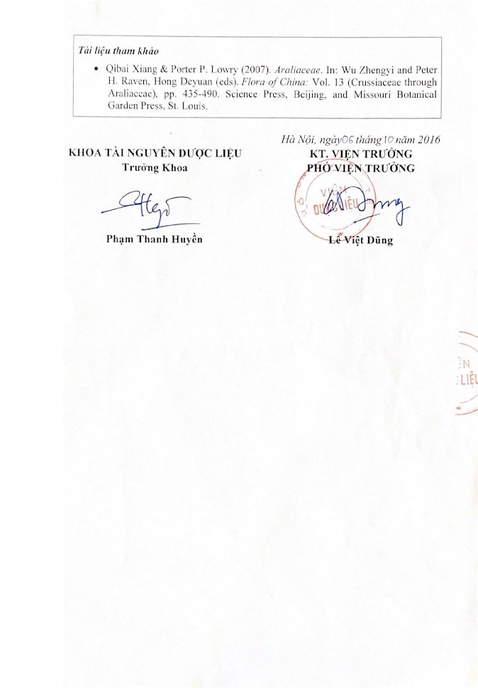 Phụ lục 2 Hình ảnh tiêu bản của mẫu Tam thất 2