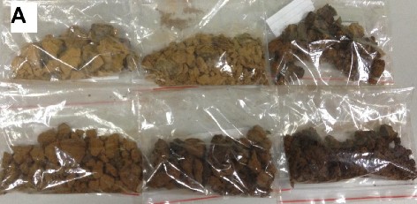 Hình 2 1 Mẫu Tam thất khô hấp ở 100ºC Hình 2 2 Mẫu Tam thất khô hấp ở 120ºC 1