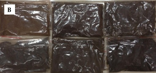 Hình 2 2 Mẫu Tam thất khô hấp ở 120ºC Hình 2 3 Mẫu Tam thất tươi hấp ở 100ºC 2