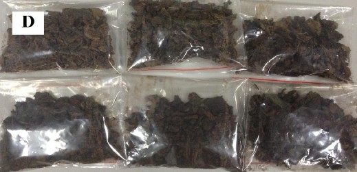 Hình 2 4 Mẫu Tam thất tươi hấp ở 120ºC Cao định lượng NP O và NP H Cân khoảng 1