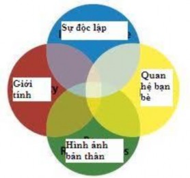 Hình 3 Các khía cạnh phát triển nổi bật ở tuổi VTN Trong thời vị thành niên 1