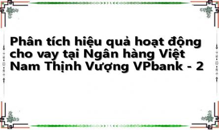 Phân tích hiệu quả hoạt động cho vay tại Ngân hàng Việt Nam Thịnh Vượng VPbank - 2