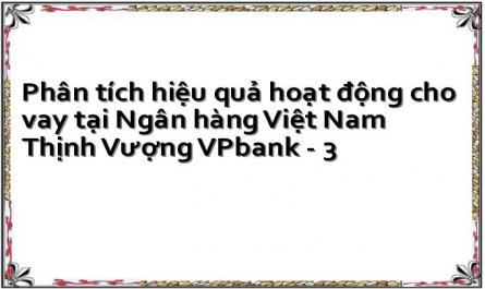 Phân tích hiệu quả hoạt động cho vay tại Ngân hàng Việt Nam Thịnh Vượng VPbank - 3