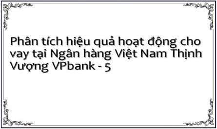 Phân tích hiệu quả hoạt động cho vay tại Ngân hàng Việt Nam Thịnh Vượng VPbank - 5