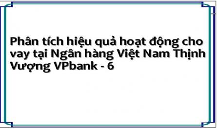 Phân tích hiệu quả hoạt động cho vay tại Ngân hàng Việt Nam Thịnh Vượng VPbank - 6