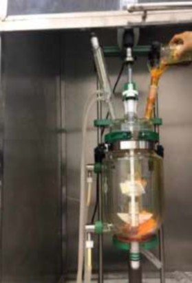 Hình 3 2 Một số hình ảnh tổng hợp PH6 ở quy mô 25 gam mẻ 3 2 3 Xây dựng quy 2