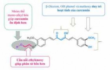 Hình 4 30 Phân tích mối liên quan cấu trúc phân tử tính chất tác dụng của các 22