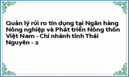 Quản lý rủi ro tín dụng tại Ngân hàng Nông nghiệp và Phát triển Nông thôn Việt Nam - Chi nhánh tỉnh Thái Nguyên - 2