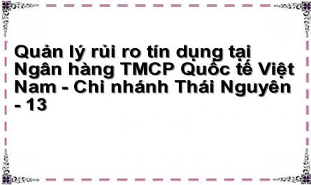 Quản lý rủi ro tín dụng tại Ngân hàng TMCP Quốc tế Việt Nam - Chi nhánh Thái Nguyên - 13