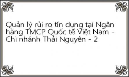 Quản lý rủi ro tín dụng tại Ngân hàng TMCP Quốc tế Việt Nam - Chi nhánh Thái Nguyên - 2