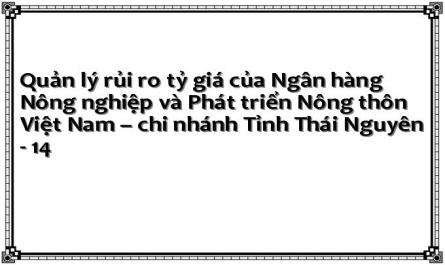 Quản lý rủi ro tỷ giá của Ngân hàng Nông nghiệp và Phát triển Nông thôn Việt Nam – chi nhánh Tỉnh Thái Nguyên - 14