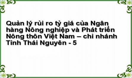 Quản lý rủi ro tỷ giá của Ngân hàng Nông nghiệp và Phát triển Nông thôn Việt Nam – chi nhánh Tỉnh Thái Nguyên - 5