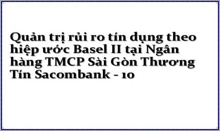 Quản trị rủi ro tín dụng theo hiệp ước Basel II tại Ngân hàng TMCP Sài Gòn Thương Tín Sacombank - 10