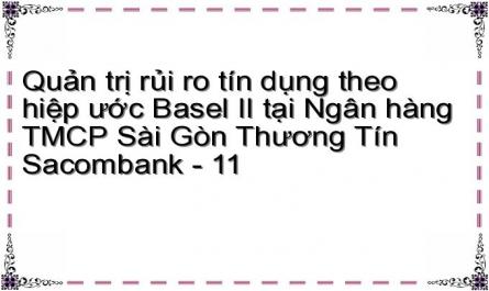 Quản trị rủi ro tín dụng theo hiệp ước Basel II tại Ngân hàng TMCP Sài Gòn Thương Tín Sacombank - 11