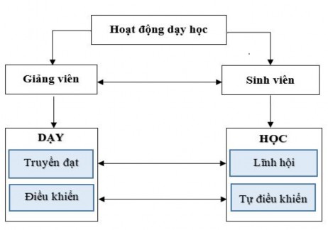 Hình 1 4 Sơ đồ tương tác giữa giảng viên và sinh viên trong hoạt động dạy 1