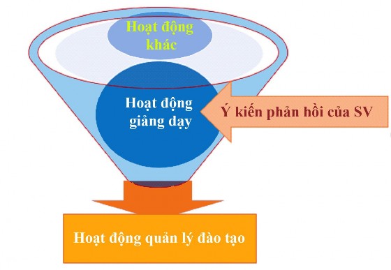 Hình 1 6 Mối quan hệ giữa ý kiến phản hồi của sinh viên với hoạt động 3