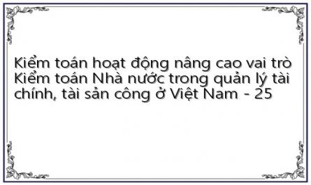 Kiểm toán hoạt động nâng cao vai trò Kiểm toán Nhà nước trong quản lý tài chính, tài sản công ở Việt Nam - 25