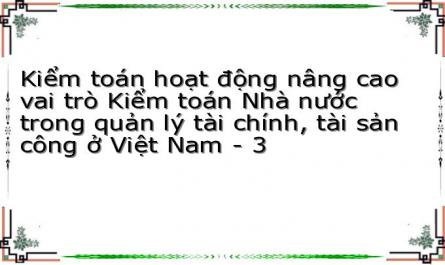 Kiểm toán hoạt động nâng cao vai trò Kiểm toán Nhà nước trong quản lý tài chính, tài sản công ở Việt Nam - 3