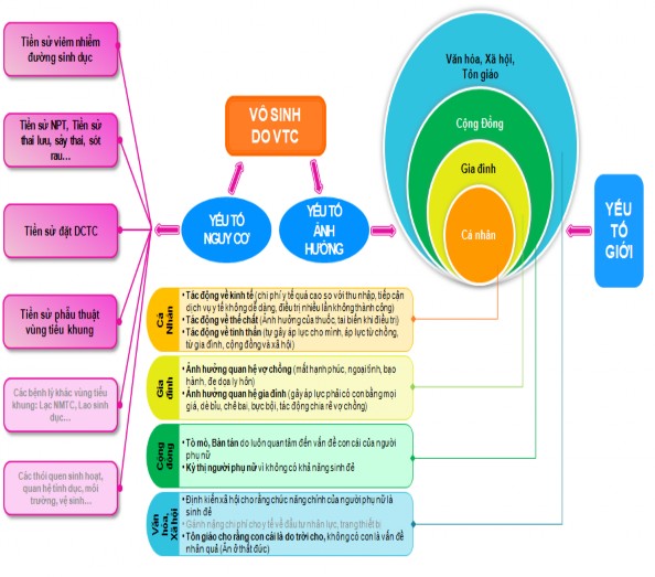 Sơ đồ 1 1 Khung lý thuyết dùng trong nghiên cứu Theo sơ đồ 1 1 nghiên cứu đánh 1