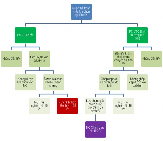 Sơ đồ 2 1 Sơ đồ lựa chọn đối tượng tham gia nghiên cứu định lượng 2 2 2 1