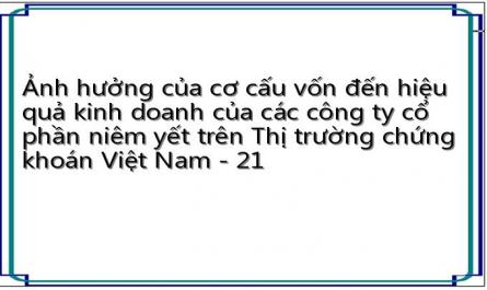 Ảnh hưởng của cơ cấu vốn đến hiệu quả kinh doanh của các công ty cổ phần niêm yết trên Thị trường chứng khoán Việt Nam - 21
