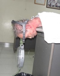 Hình 3 50 Thiết kế thí nghiệm tác động lực gập lên CSC tăng dần Nguồn từ 9